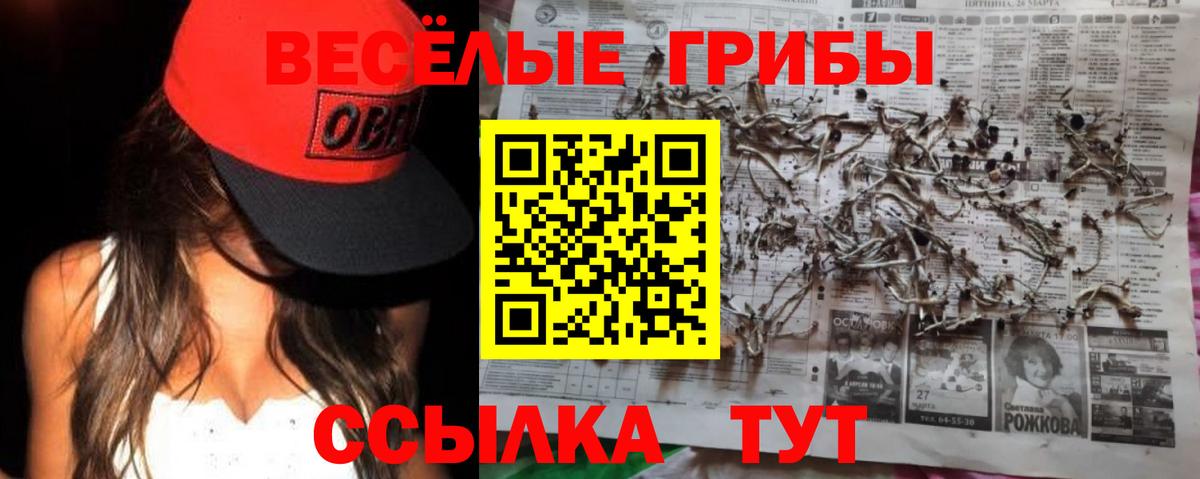 Галлюциногенные грибы ЛСД  Вход с VPN  Галлюциногенные грибы прущие грибы  Нягань 